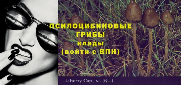 круглые Абаза