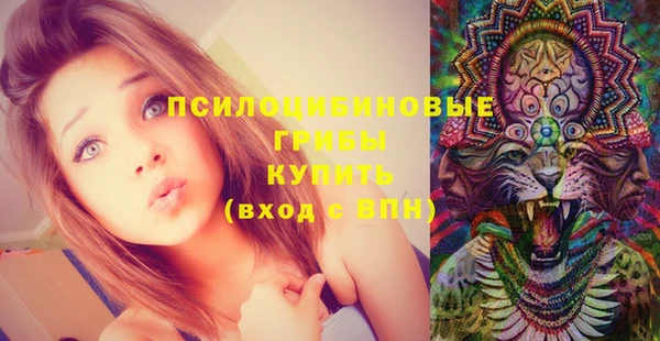 прущие крисы Алексеевка