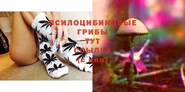 круглые Абаза