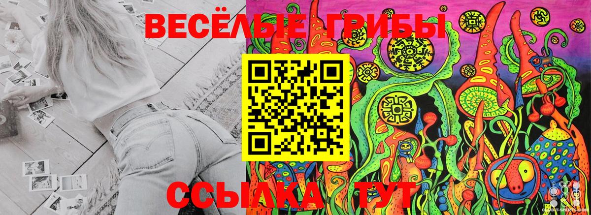 сколько стоит  Псилоцибиновые грибы Cubensis  Галлюциногенные грибы Magic Shrooms  Вход с VPN  Ялуторовск 
